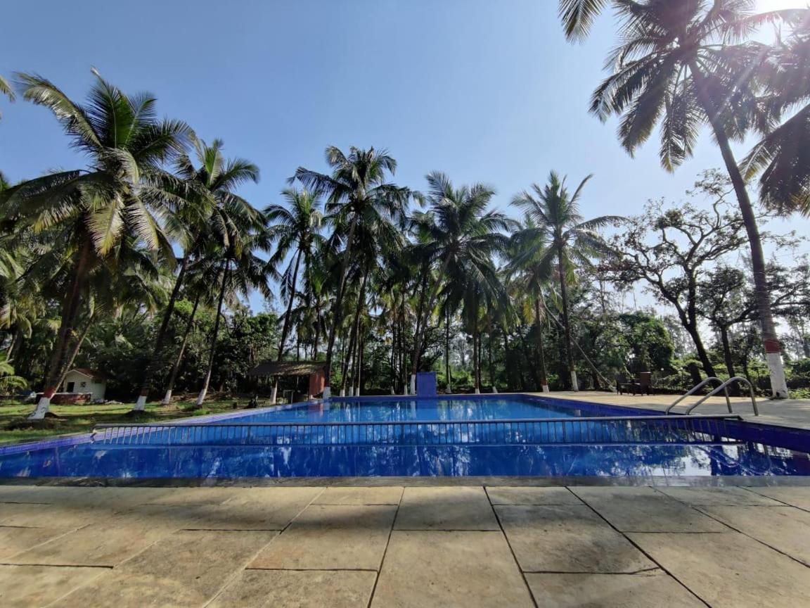 White House Beach Resort, Nagaon ภายนอก รูปภาพ